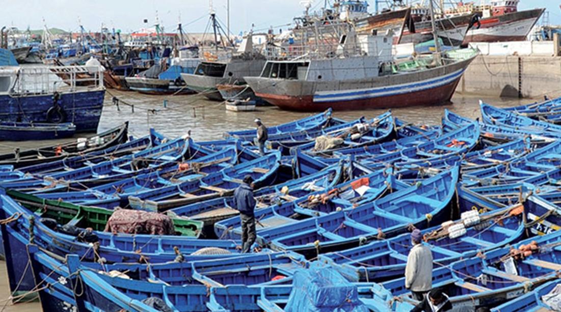 Pêche/Maroc: Hausse de la valeur des produits commercialisés de 34% à fin août …
